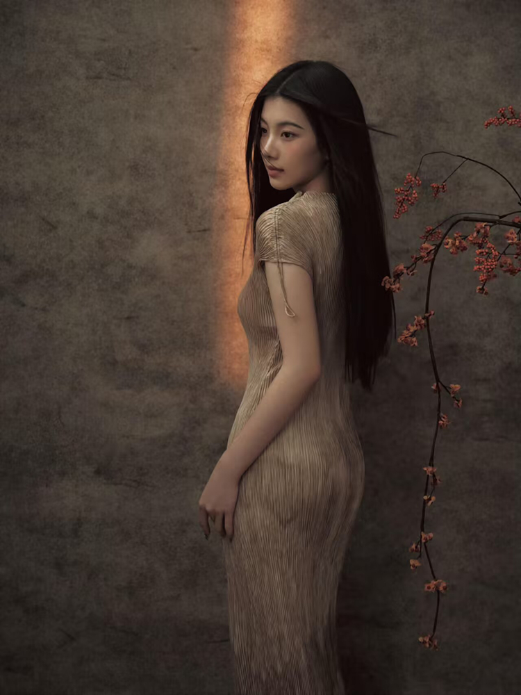 New 2026 Chinese Style Portrai - Vintage Fashion Art 评论和价格